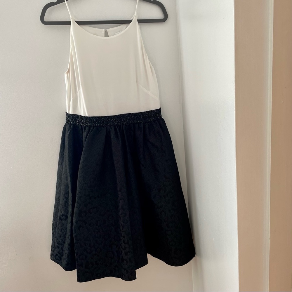 Calvin Klein Ballerina Dress